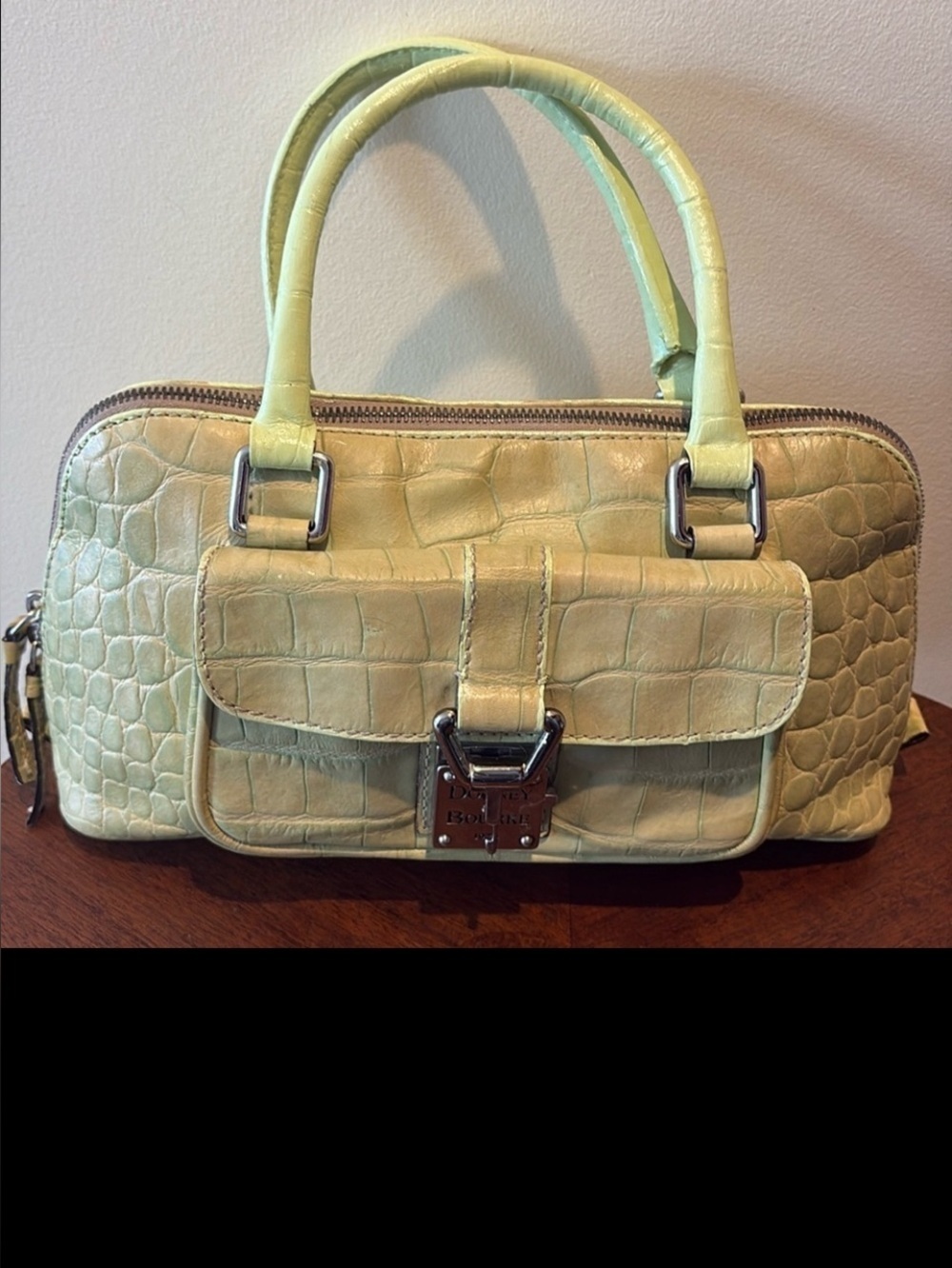 Dooney & Bourke Vintage alligator Satchel Leather Lt. Green Front pocket